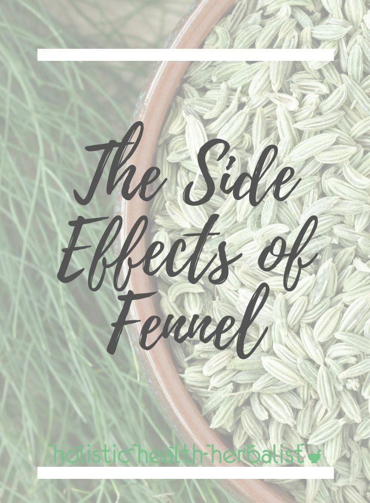 SIde effects of fennel - a photo of fennel seeds