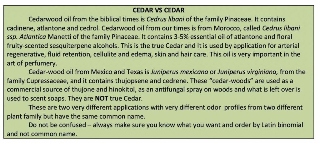 An explanatory paragraph explaining the difference between Cedrus of the bible and the Juniper
