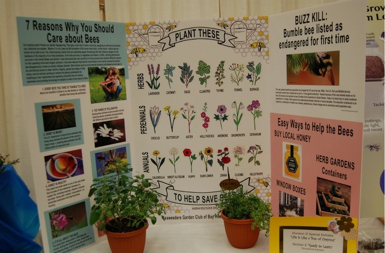 Flower Show Bee Display
