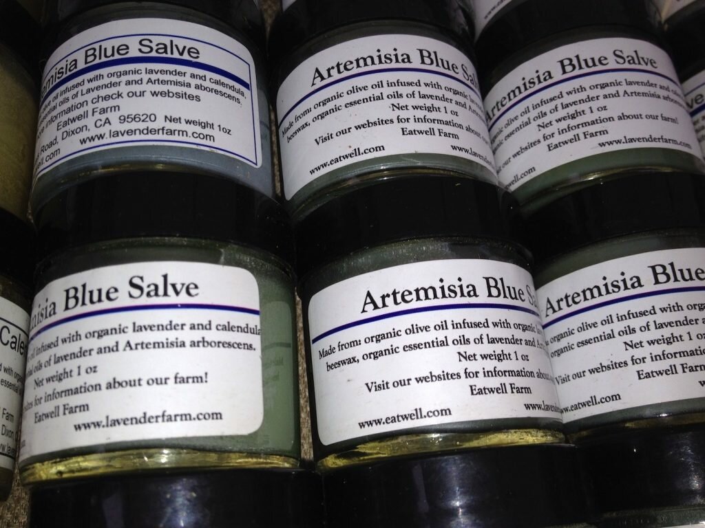Jars of salve made of Artemisia arborescens and Lavender grown on Eatwell Farm