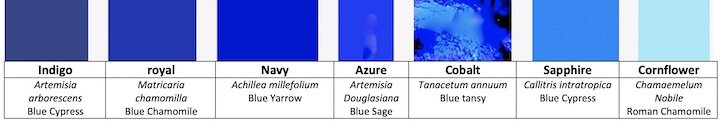 A color bar of 7 blue  colors