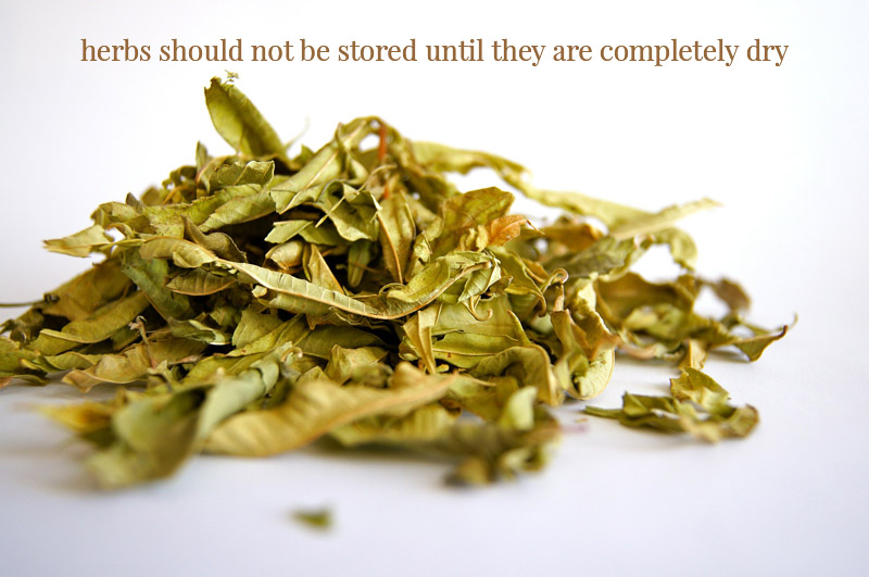 herbs-completely-dry