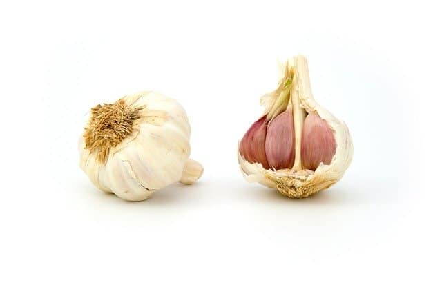 garlic for nasal polyps