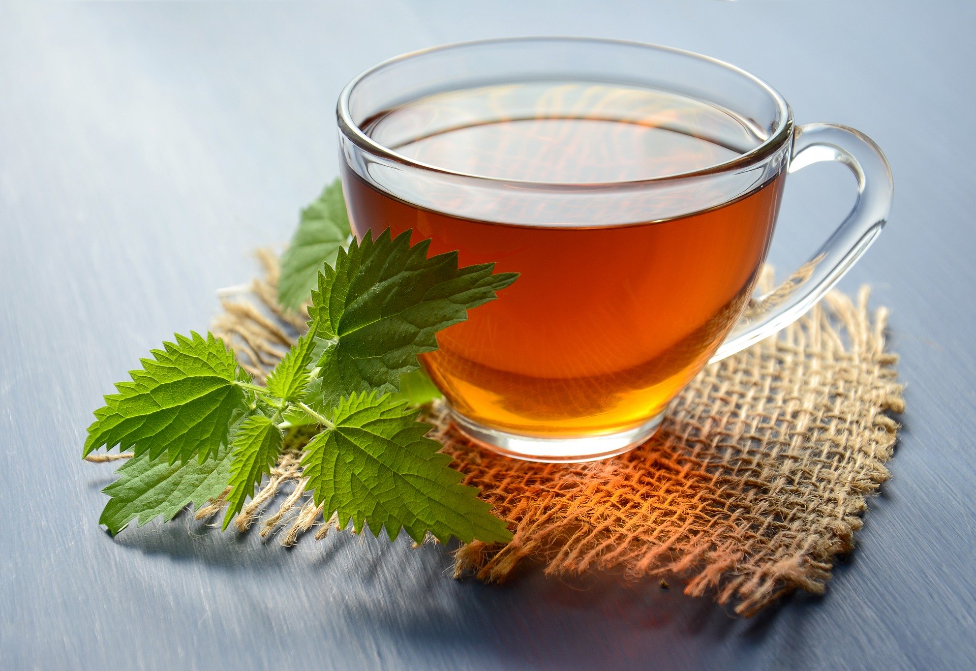 Nattle peppermint tea for allergies