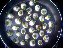 fried dandelion