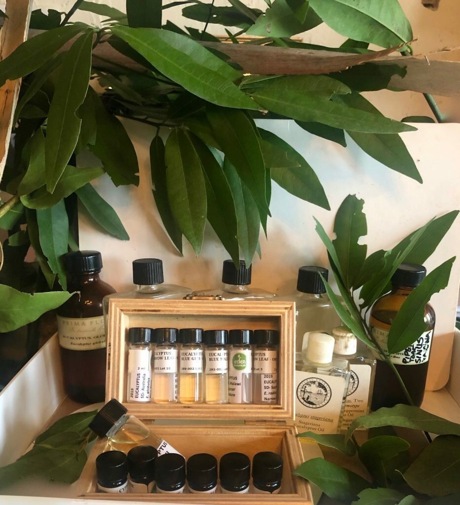 4 different sets of Eucalyptus oil representing organic, and wild, 8 species, and 3 company lines.﻿