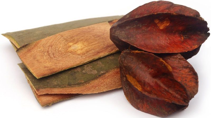 arjuna for blood pressure