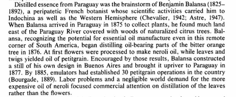 Some Petitgrain history