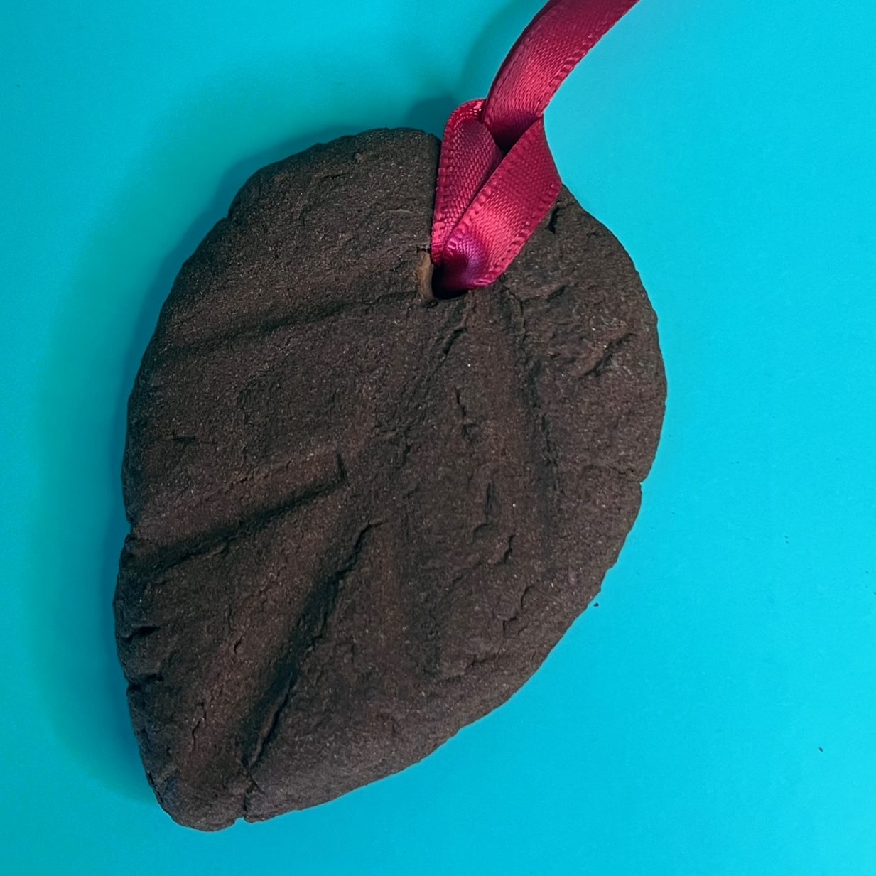 Cinnamon Ornaments – The Dancing Herbalist