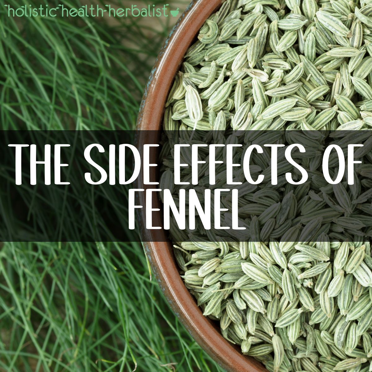 Fennel Seeds Side Effects For Females