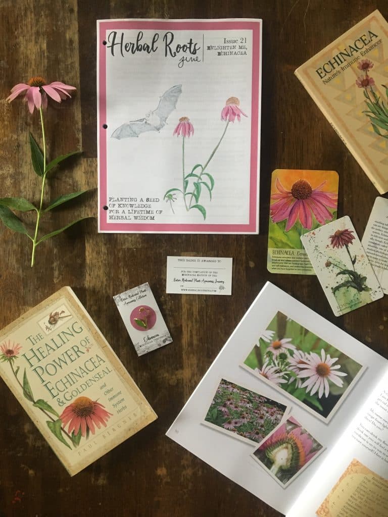 Herbal Garden and Lesson Planning for...