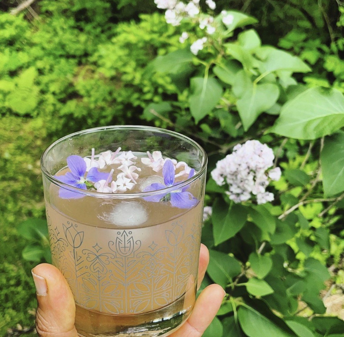 Making Wild Herbal Sodas — Milk...
