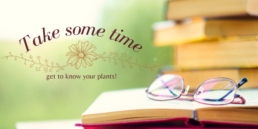 Planning and Prep: Get to know...