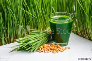 WeatT Grass , Why it’s So...